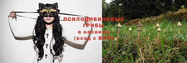 а пвп мука Алексеевка